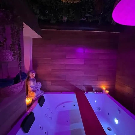 Le Balneo Jacuzzi Vieil Safranier 公寓 *