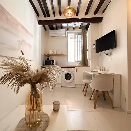 Le Balneo Jacuzzi Vieil Safranier 公寓 *