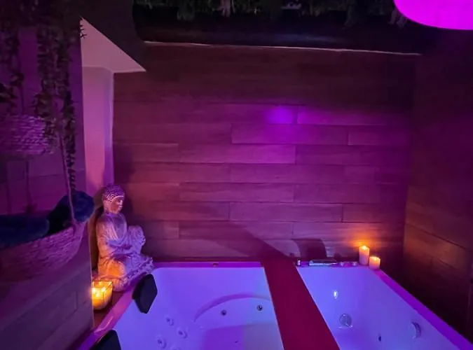 Le Balneo Jacuzzi Vieil Safranier 公寓 *