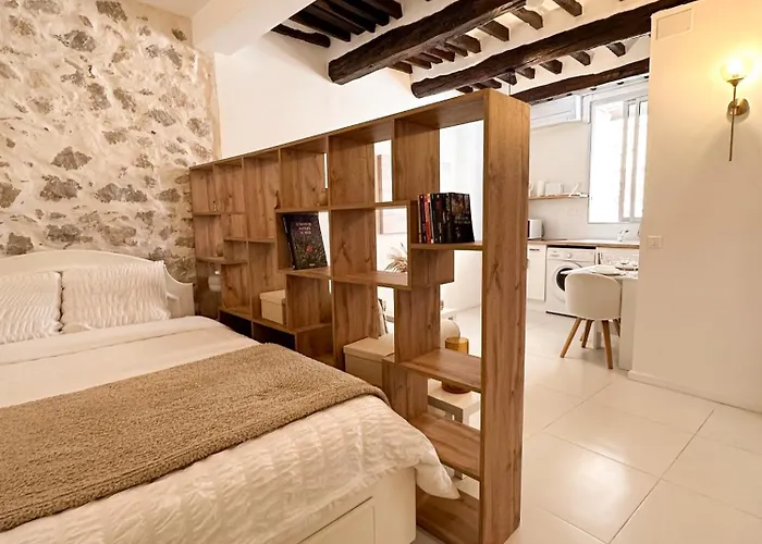 Le Balneo Jacuzzi Vieil Safranier *