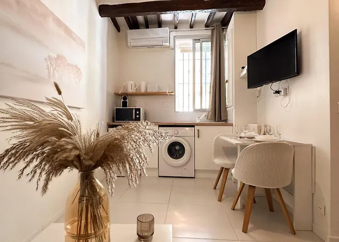 Le Balneo Jacuzzi Vieil Safranier Διαμέρισμα *